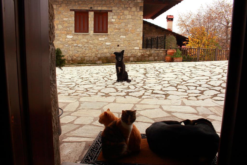 Τα Πέτρινα Της Ελάτης - Petrina Elatis Villa Exterior photo