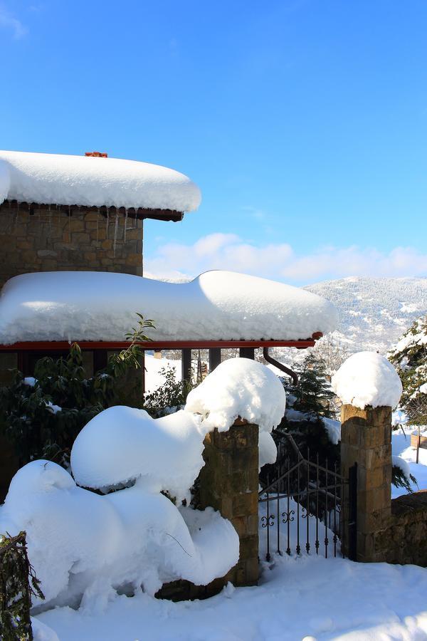 Τα Πέτρινα Της Ελάτης - Petrina Elatis Villa Exterior photo